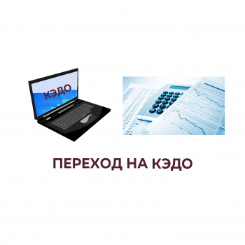 кэдо с 2023